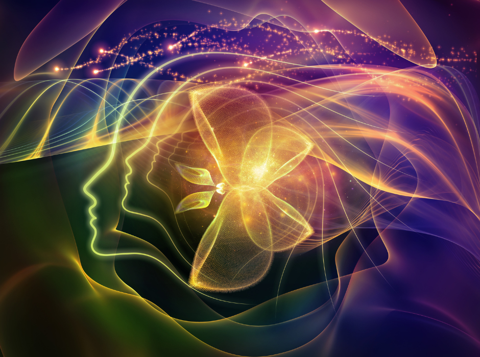 2. Hình ngang (940 x 700 px) (3).png